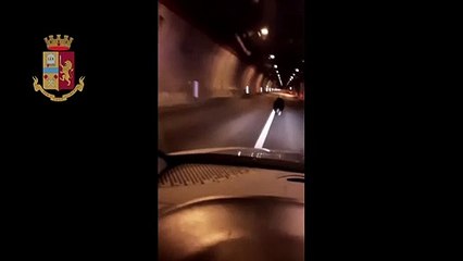 Sulmona - Tratto in salvo cucciolo di orso bruno marsicano (12.05.20)