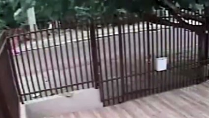 Homem provoca incêndio ambiental e foge correndo no Nova Cidade