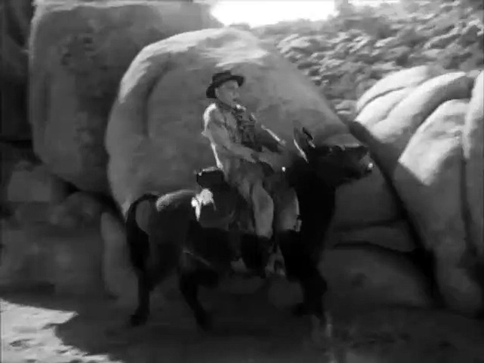 The Adventures Of Champion E26: Calhoun Rides Again (1956) - (Adventure, Western, TV Series)