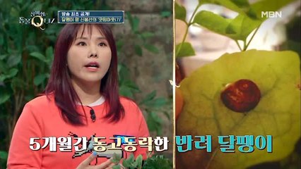 신봉선,반려 달팽이 '코코' 이름에 담긴 비밀스러운(?) 사연!