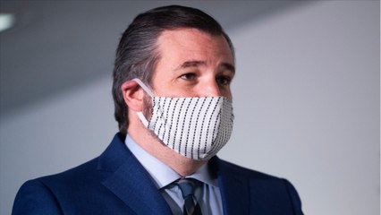 Ted Cruz Calls Texas Resolution Dubbing 'Chinese Virus' As Hate Speech 'Nuts'