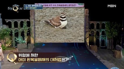 황제성,"최악의 답이 있네…" 신봉선에게 비난 작렬?!
