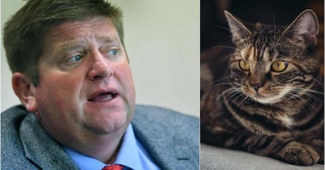 Le patron des chasseurs propose de tuer les chats à 300 mètres des habitations