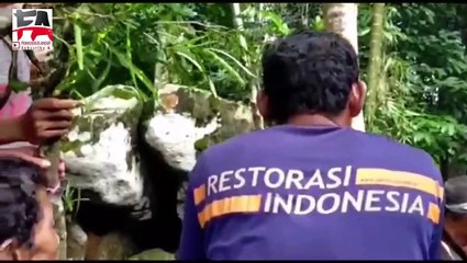 ADAT DAN BUDAYA TOLAK BALA SUKU DAYAK "BALALA"