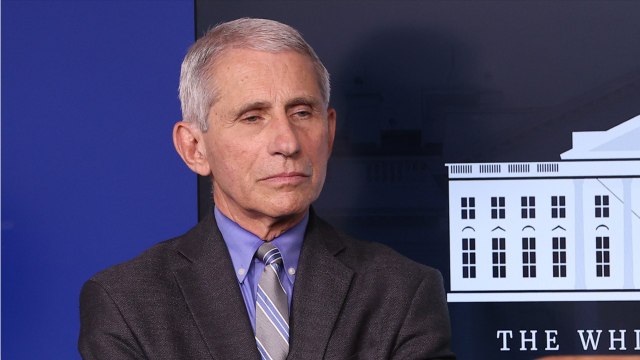 Fauci Warns Against Opening The US Too Soon