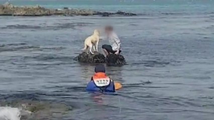 해경, 반려견 구하려다 갯바위에 고립된 30대 여성 구조 / YTN