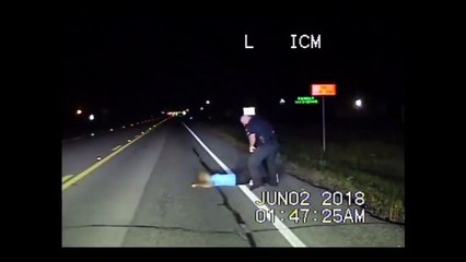 Top 5 Scary Encounters Caught on Dashcam