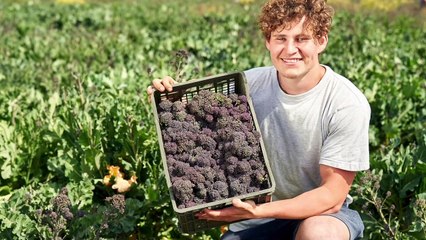 Fresh Fruit & Veg Delivered to Your Door