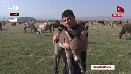 En İyisi Gezmek - Erzurum | 17 Kasım 2019