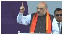 From PM Modi To Booth Level Workers, Everyone Supported Me: Amit Shah