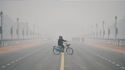 Thick Fog Envelops Delhi-NCR As Cold Wave Intensifies: Ground Report