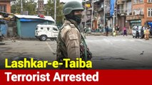 Srinagar: Lashkar-e-Taiba Terrorist Ahmad Bhat Arrested