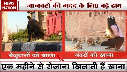 Animals are crying for Food In lockdown, come forward to help them