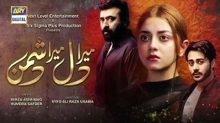 Mera Dil Mera Dushman Episode 34 - Teaser- ARY Digital Drama