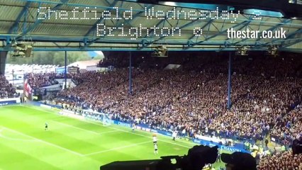 Sheffield Wednesday 2 Brighton 0 - Owls fans lift the roof off Hillsborough