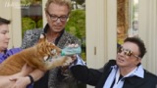 'Tiger King' Filmmakers Working on Follow Up | THR News