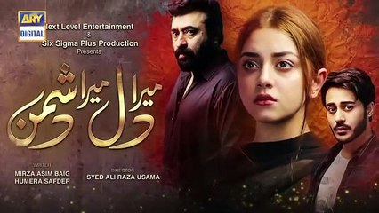 Mera Dil Mera Dushman Episode 34 Teaser ARY Digital Drama
