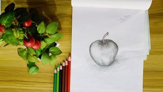 Sketch & colour Apple | how to draw and sketch apple for beginners| easy simple apple sketch