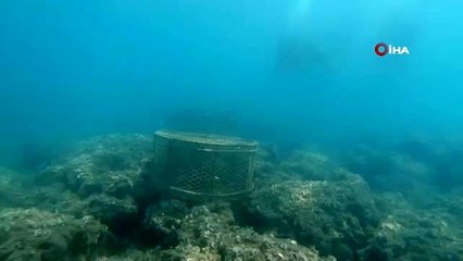 Hatay'da yasa dışı balık avcılarına 13 bin lira ceza kesildi