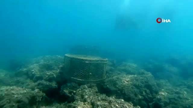 Hatay'da yasa dışı balık avcılarına 13 bin lira ceza kesildi