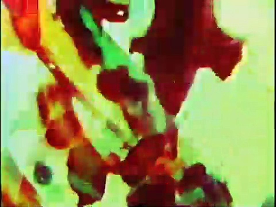 Flora's Fancy Free (1975)
