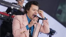 Harry Styles Has Pink Manicure, 'Watermelon Sugar’ Video