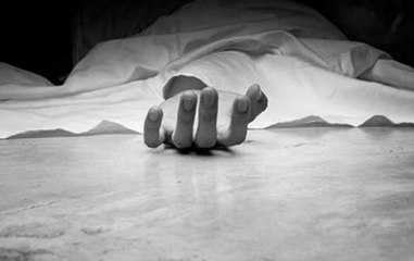Unidentified assailants kill two private security guards in Noida