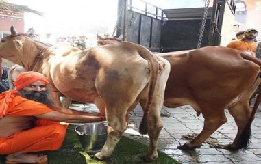 Patanjali enters dairy business