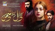 Mera Dil Mera Dushman Episode 35 Teaser ARY Digital Drama