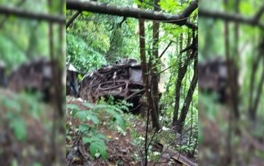 Bus skids off on Mumbai-Goa highway, kills 30 Maharashtra agriculture university employees
