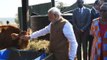 PM Modi gifts 200 cows to villagers in Rwanda