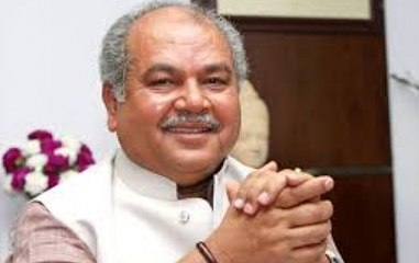 Target 19: Ground report from MP's Gwalior constituency seat