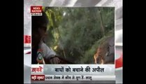 Amitabh Bachchan become Tiger Ambassador of Maharashtra