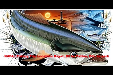 Fishing Trips to Catch Tuna and Mackerel
