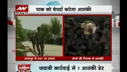 Nation View: Now, nabbed terrorist to unveil real Pakistan