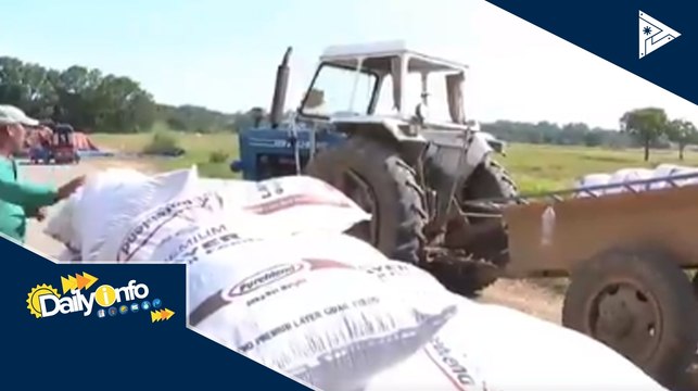 DA, pinaghahanda ang mga magsasaka sa pagdating ng bagyong Ambo