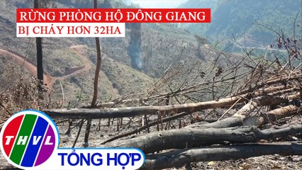 Hơn 30 hecta rừng ở Quảng Nam bị thiệt hại sau vụ cháy