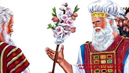 25. EL ASPECTO BINAH DEL DEMIURGO - SUSTITUCIÓN DE LAS DIOSAS ATLANTES.