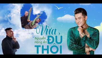 Vừa đủ thôi   Nguyễn Hồng Ân (sáng tác Thông Vi Vu)