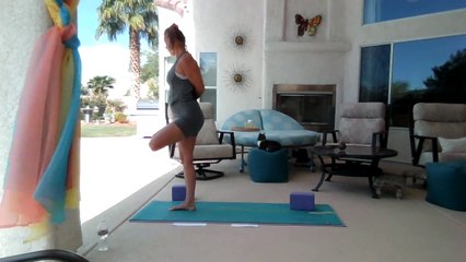 Ashtanga Primary Series 1 from end of Surya B.