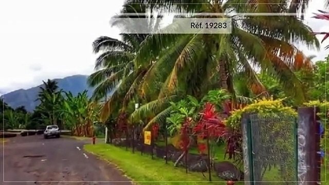 A vendre terrain de 2347M2 en Bord de route Papara (Zone urbaine-Idéal commerce)