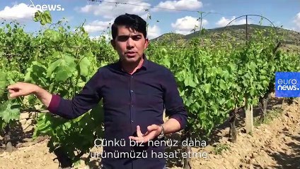 Türkiye’de çiftçiler, salgın nedeniyle ürünlerini satamamaktan korkuyor