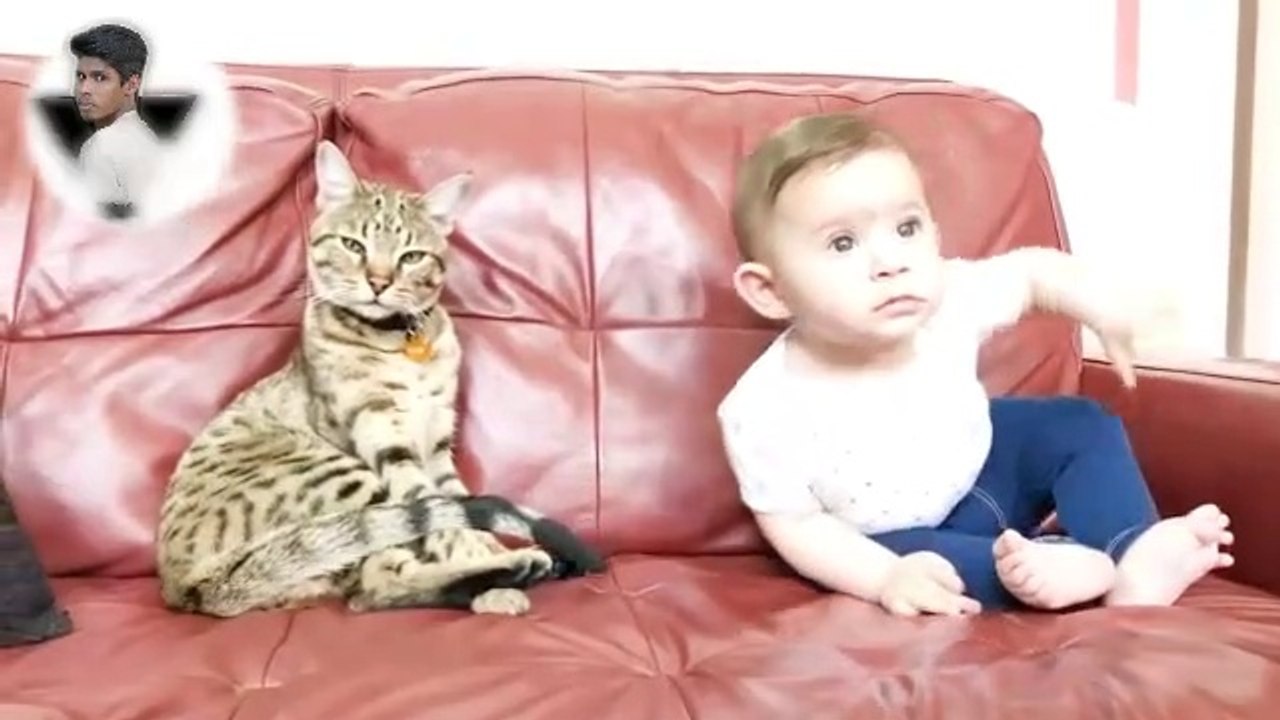 Baby_and_Cat_Fun_and_Fails_-_Funny_Baby_Video 2020