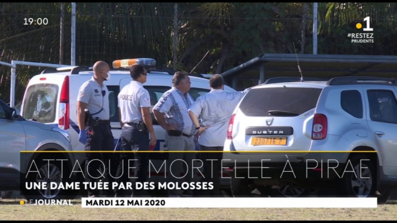 Une femme tuée par des molosses à Pirae