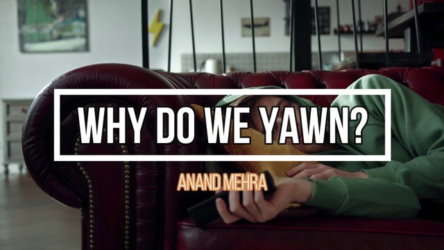 Why do humans yawn?