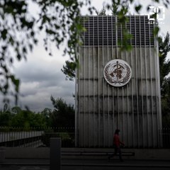 L'OMS, qu'est ce que c'est?