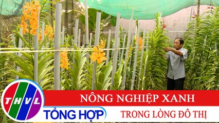 Văn minh đô thị: Nông nghiệp xanh trong lòng đô thị
