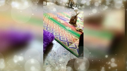 మా బుజ్జిగాడు Childhood  MAA BUJJIGADU CHILDHOOD