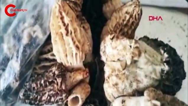 800 liraya satılıyor! Birçok Avrupa ülkesinden yoğun talep var