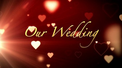 24) Musique.  Willy’s Sunny . The Whole Other. Country et folk.  Inspiration